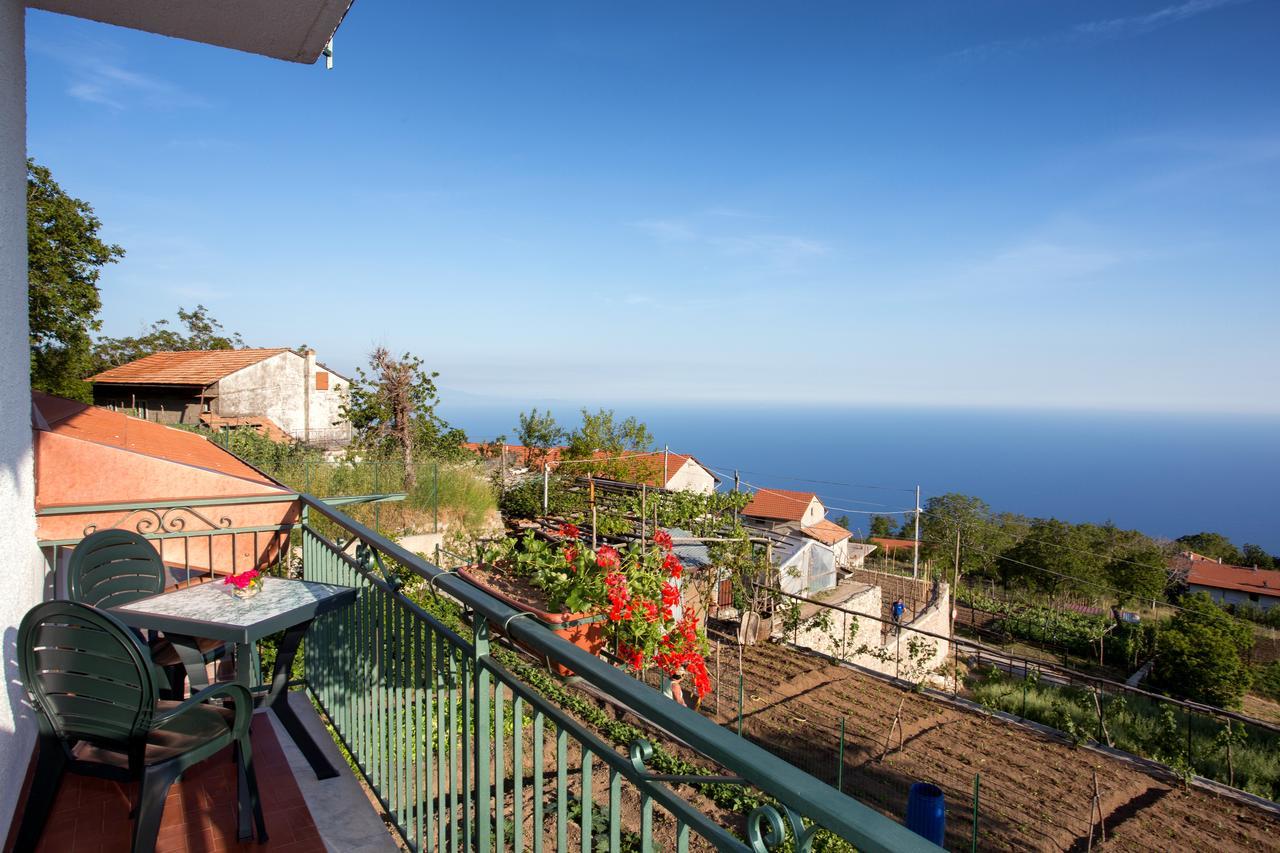 Bb Santalucia Bed and Breakfast Agerola Εξωτερικό φωτογραφία